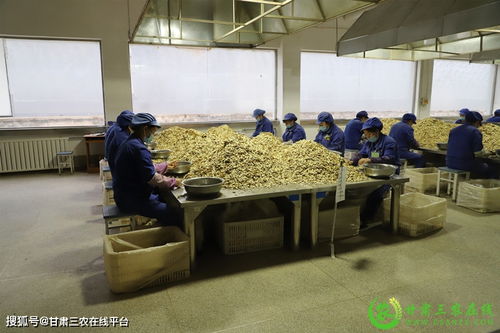 隴西縣實(shí)現(xiàn)道地中藥材生產(chǎn)全程可追溯，助力醫(yī)藥教學(xué)器材升級